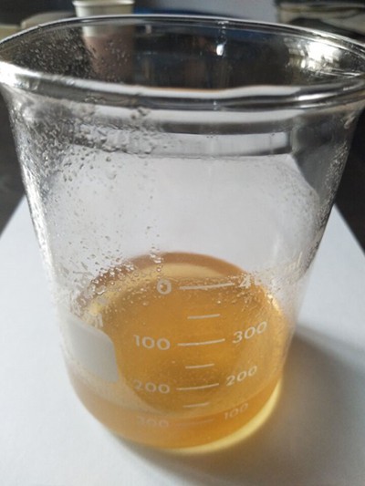 麻豆蜜桃无码免费视频网址